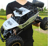 4WD RC Cars 2.4G Radio Control High speed - Monique Biz
