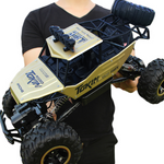 4WD RC Cars 2.4G Radio Control High speed - Monique Biz