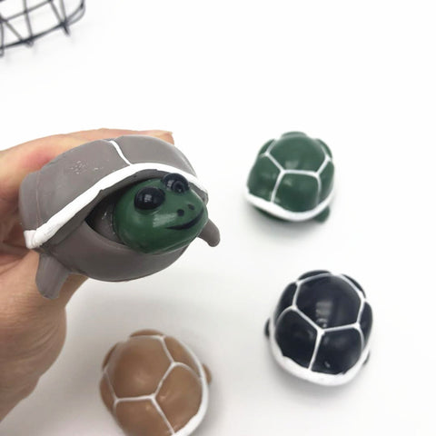 Squeeze Tortoise With Popping Head Toy - Monique Biz