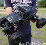 4WD RC Cars 2.4G Radio Control High speed - Monique Biz